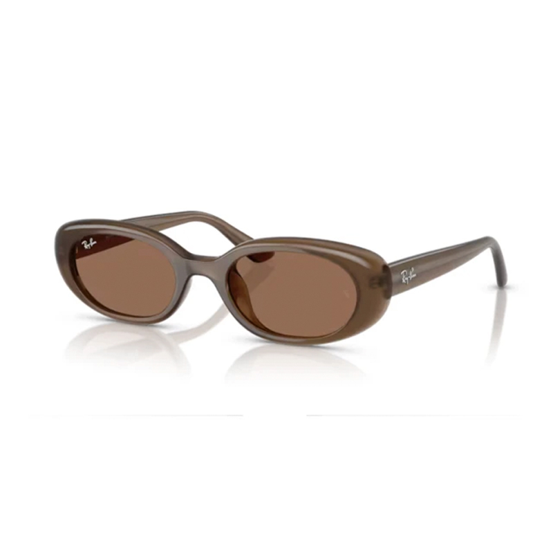 Ray Ban Γυαλιά ηλίου 0RB4441D 67797353 Καφέ