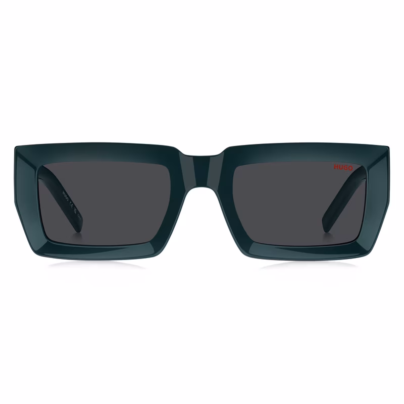 Hugo Boss HG 1310/S 20744180754IR