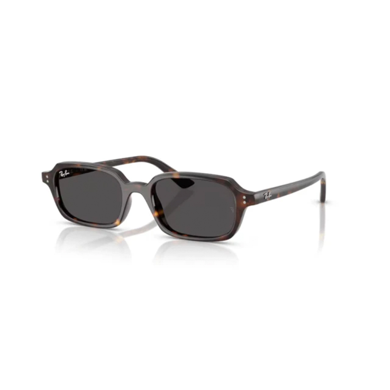 Ray Ban Zuri RB4455 135987 52