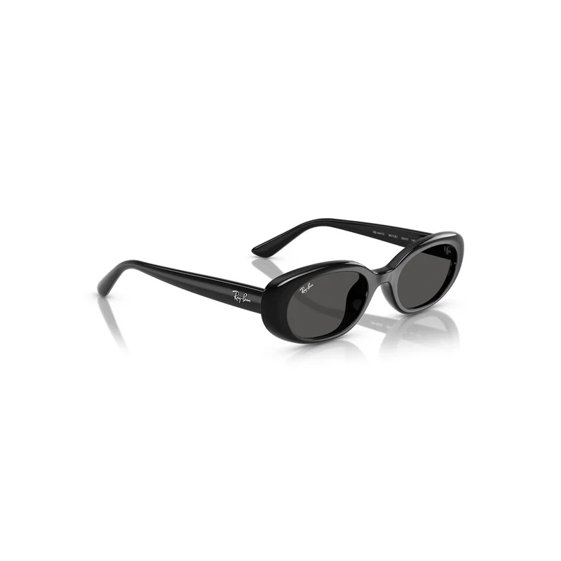 Ray Ban Γυαλιά ηλίου 0RB4441D 66778753